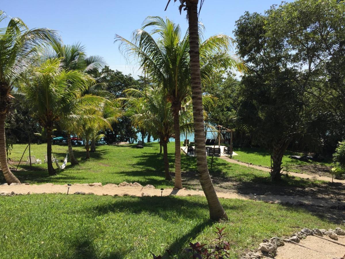 Mercedes Bacalar Bagian luar foto