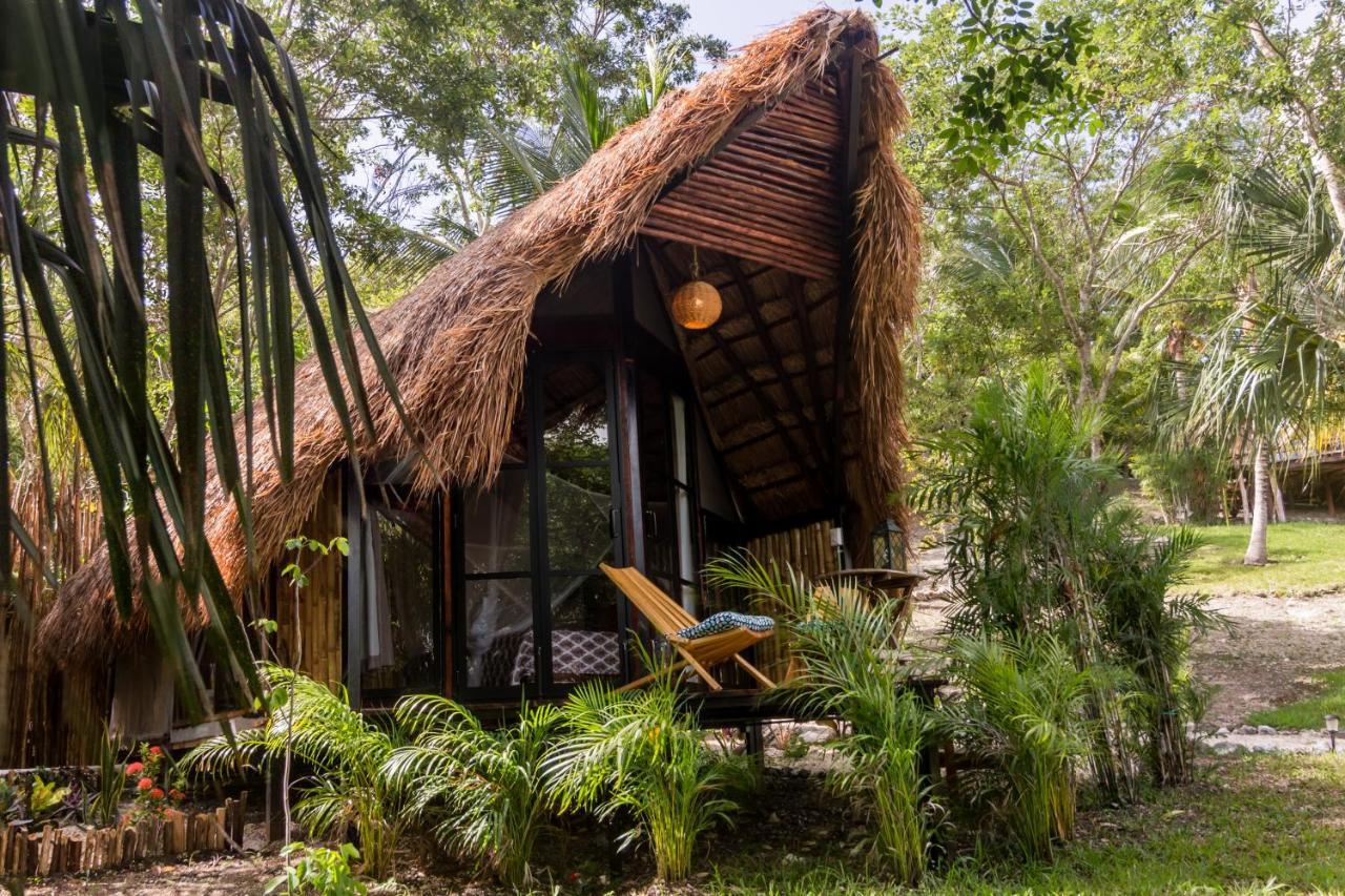 Mercedes Bacalar Bagian luar foto