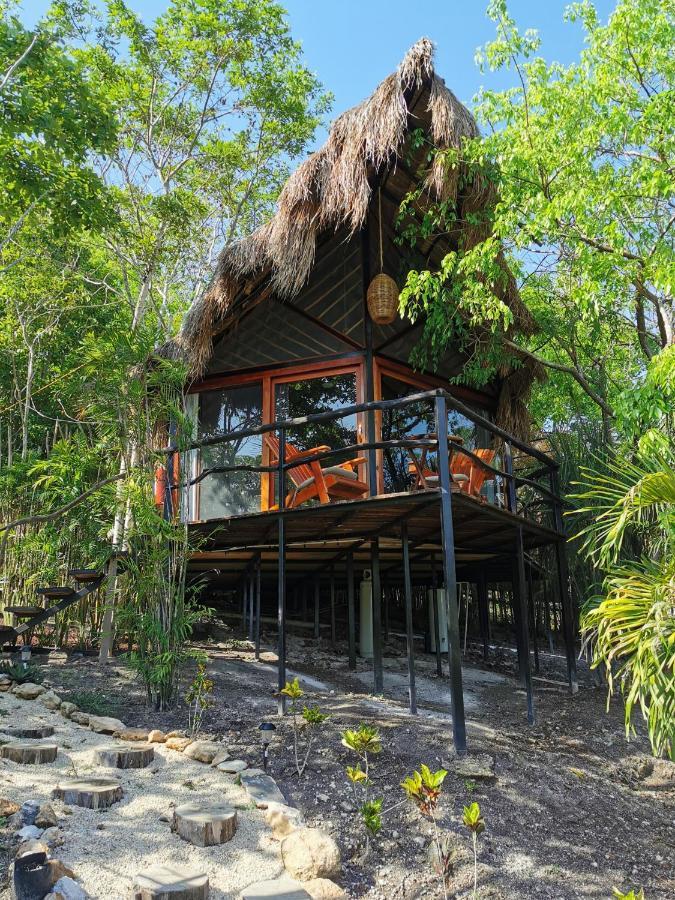 Mercedes Bacalar Bagian luar foto